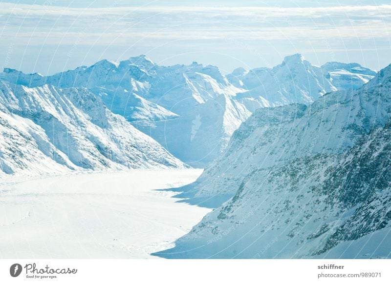 WHITE OUT Environment Nature Landscape Climate Climate change Beautiful weather Ice Frost Rock Alps Mountain Peak Snowcapped peak Glacier Cold Blue White