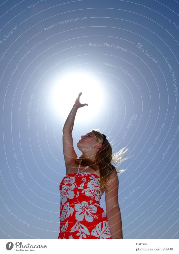 Sun catching II Summer Vacation & Travel Majorca Hibiscus Air Back-light Light (Natural Phenomenon) Sky