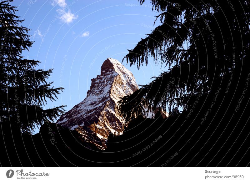 Matterhorn VI Peak Switzerland Zermatt Canton Wallis Mountaineer Climbing Go up Mountain ridge Wall of rock Fir tree Tree Clouds Concealed Safety (feeling of)