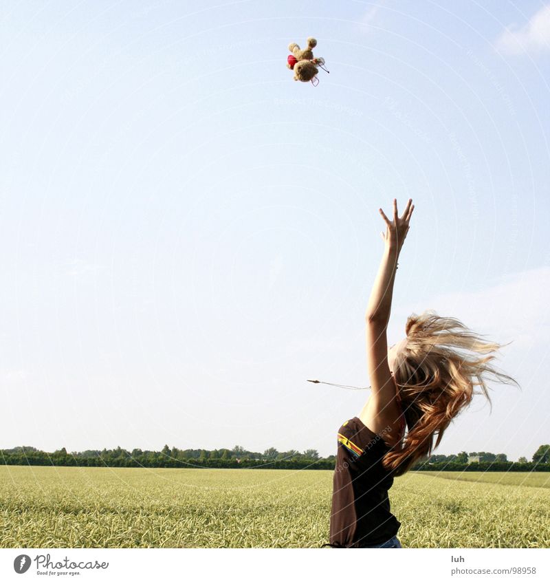 Are you catching me? Teddy bear Target Success Cornfield Field Wheat Clouds Joie de vivre (Vitality) Girl Summer Style Youth (Young adults) Joy Flying Aviation
