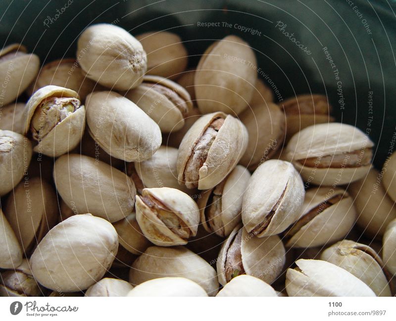 pistachios Pistachio Salty Healthy nuts