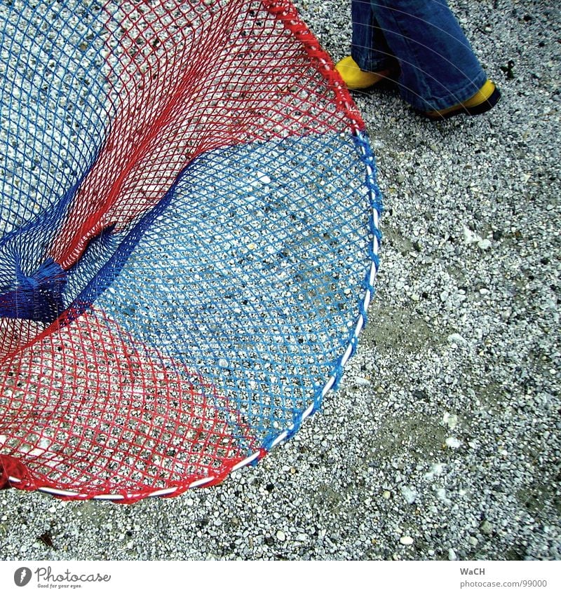 jump in Butterfly net Catch Red Blue-red Rubber boots Yellow Quiver Pebble Collection Leisure and hobbies Catching net Fishing (Angle) wet Legs