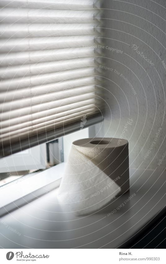 quiet place Bathroom Toilet Window Relaxation Authentic Toilet paper toilet roll Venetian blinds Window board Digestive system Subdued colour Interior shot