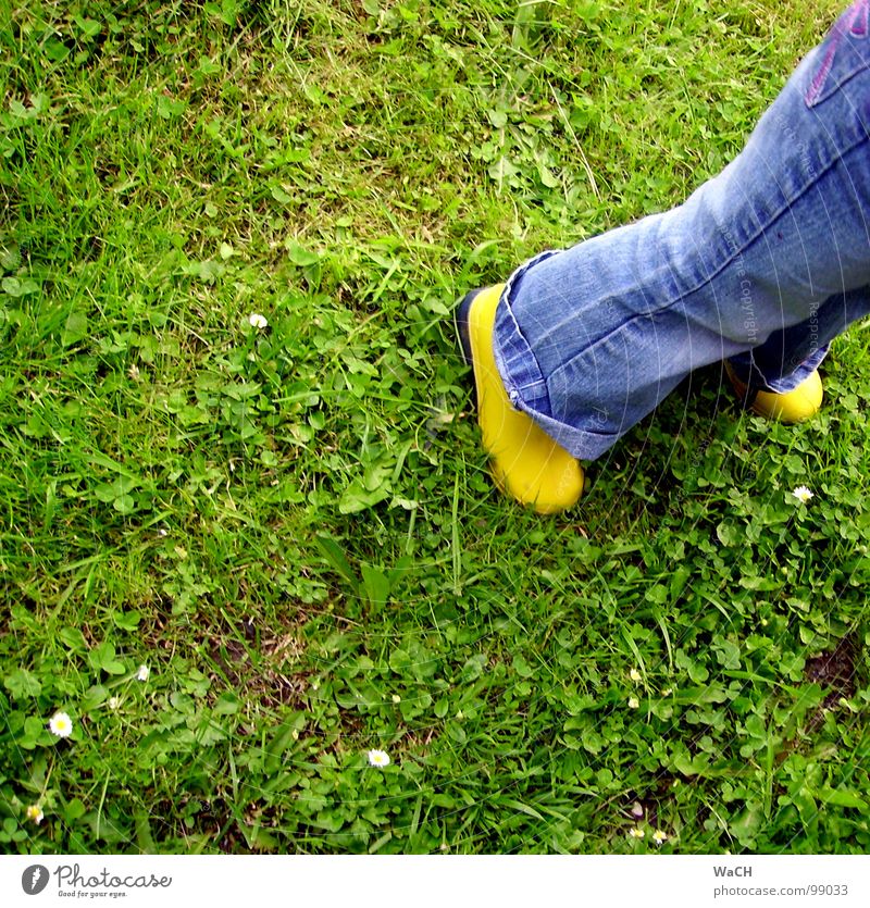 GiG (rubber boots in the grass) Rubber boots Grass Green Grass green Boots Yellow Latex India rubber Child Meadow Field Leisure and hobbies