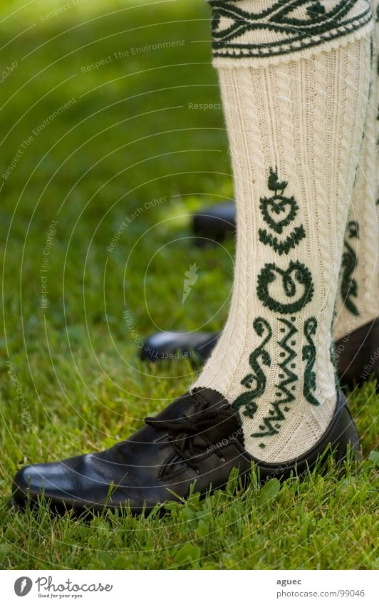 Fesche Wadln Footwear Grass Green Black Beige Bavaria Costume Tradition Sock Shoelace Rope Pattern Vertical Stand Art Culture calf stockings woollen stockings