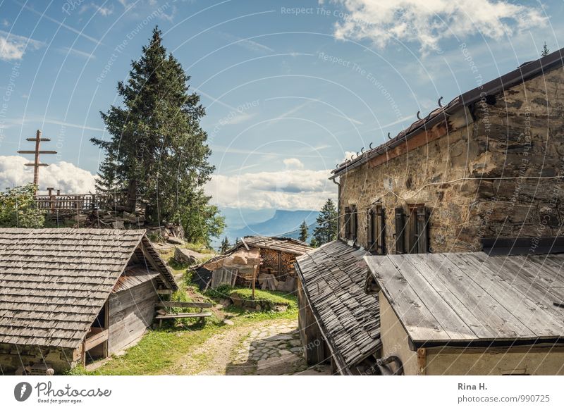 rest Hiking Vacation & Travel Trip Clouds Summer Beautiful weather Tree Grass Mountain South Tyrol House (Residential Structure) Hut Building Roof Relaxation
