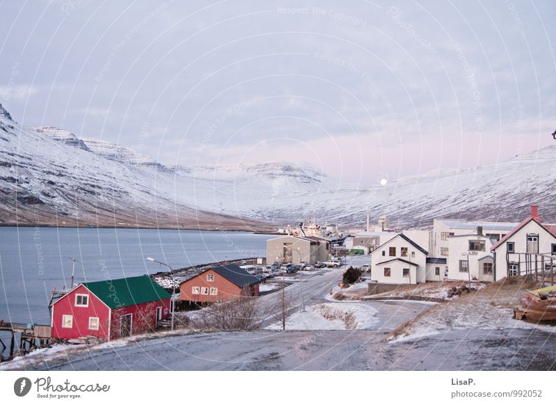 Eskifjörður Landscape Hill Mountain Bay Fjord Iceland Village Fishing village House (Residential Structure) Cold Maritime Beautiful Gloomy Longing Wanderlust