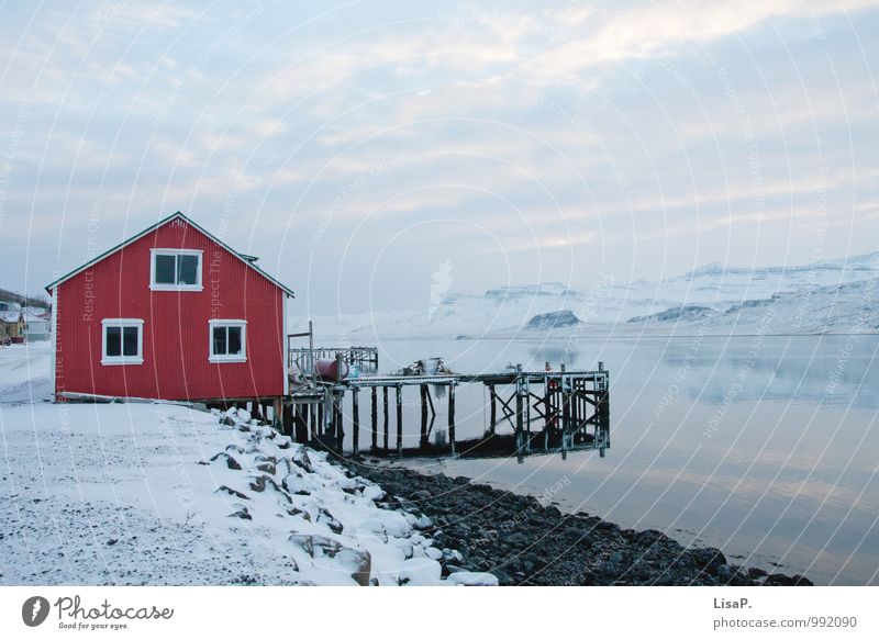 House by the fjord Contentment Relaxation Calm Fishing (Angle) Vacation & Travel Tourism Adventure Far-off places Freedom Ocean Winter Snow Winter vacation