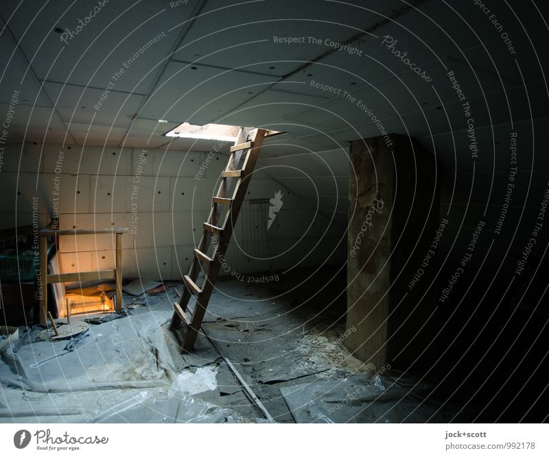 Secret under the roof Attic Construction site Ladder Covers (Construction) Authentic Dark Simple Cold Above Safety (feeling of) Lanes & trails Hatch Free space