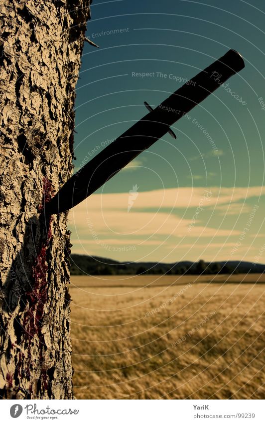 tree death Tree Field Meadow Tree bark Flow Blood Horizon Brown Clouds Harm Annihilate Kill Environmental protection Forest death Death of a tree Knives Sky