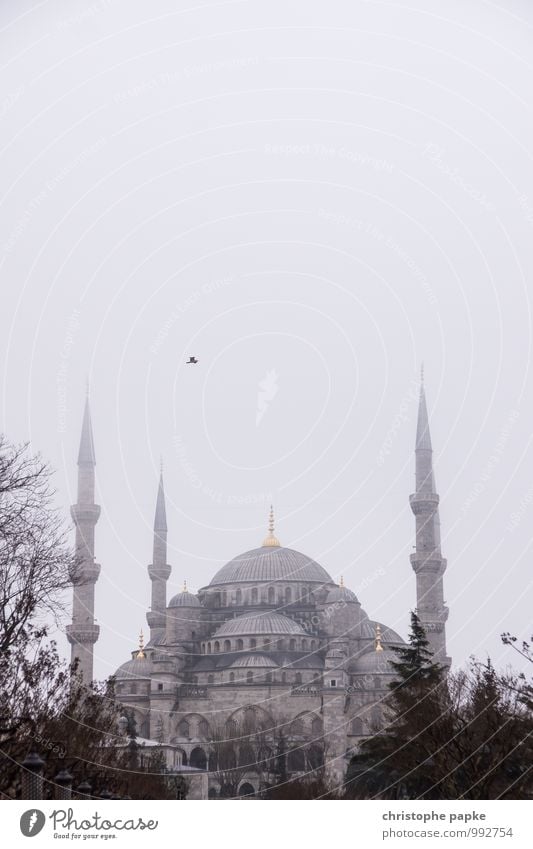 Blue Mosque, Istanbul, Turkey turkey Town Tourist Attraction Vacation & Travel Far-off places City trip Autumn Winter Bad weather Fog Downtown