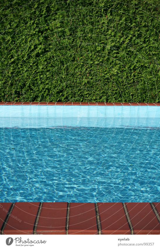 4:59 MEZ...FIRST !...GOOD MORNING ! Swimming pool Hedge Summer Vacation & Travel Flat (apartment) Corner Chlorine Upheaval Wet Damp Physics Refrigeration Green