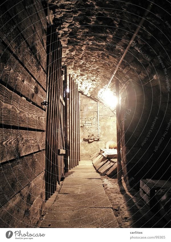 at the very bottom Cellar Barrel vault Tunnel Natural stone Monument Preservation of historic sites Subsidy Light Historic Living or residing Old town