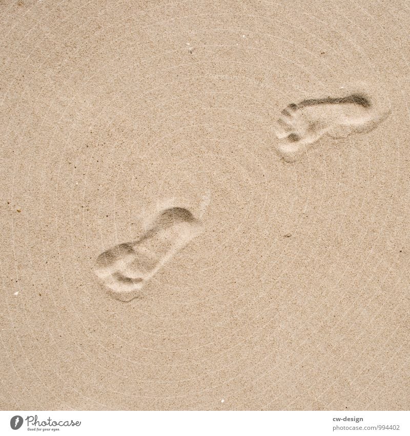 Your tracks in the sand Sand Tracks footprint Footprint Beach Sandy beach Barefoot