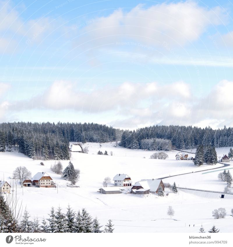 What cabin's the party at? Nature Landscape Winter Forest Black Forest Black Forest house Baden-Wuerttemberg Germany Village House (Residential Structure) Hut