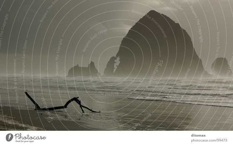 Haystack Branch Oregon Wood flour Nature Beach USA Water Beautiful haystack rock Canon Beach sea fog waves pacifist clouds