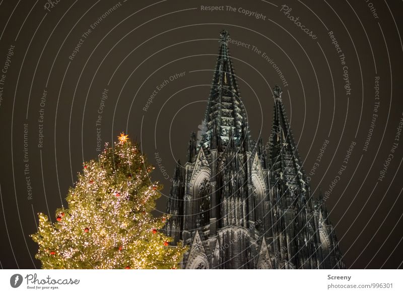 Three tips Christmas & Advent Cologne Town Downtown Church Dome Tourist Attraction Landmark Cologne Cathedral Illuminate Point Tower Fir tree Christmas Fair