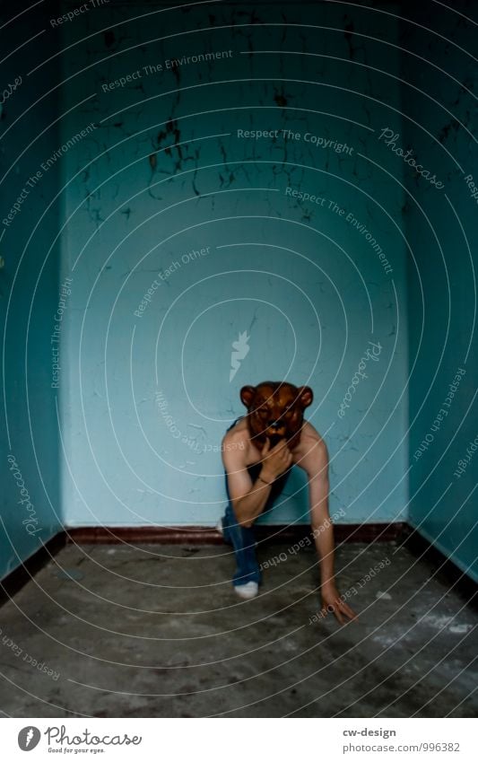 male teenager with bear mask in a confined space Youth (Young adults) Youth culture younger Upper body free Jeans Bear Mask Human being Colour photo