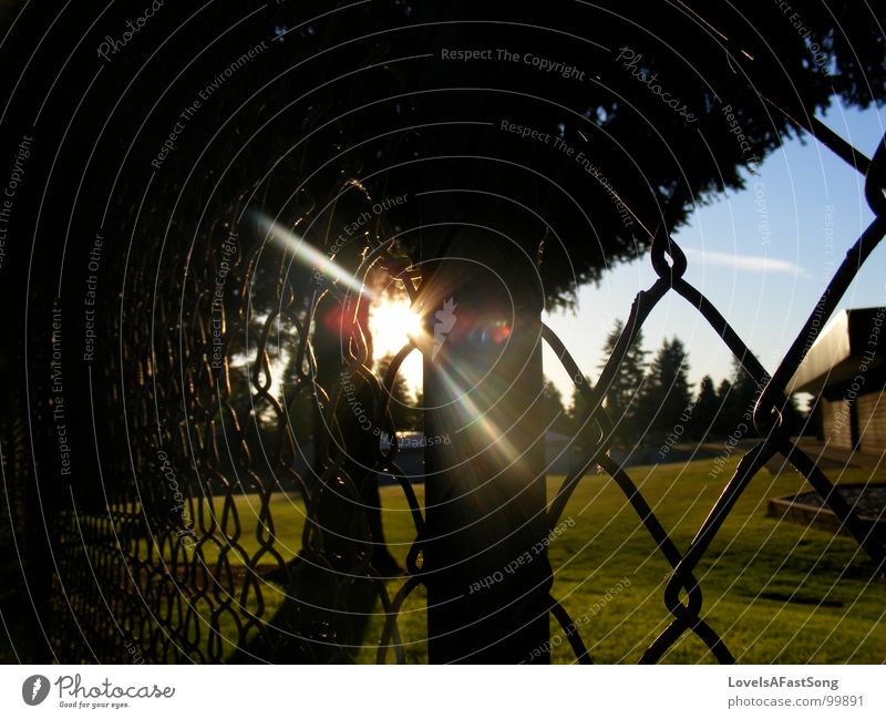 fence Light Summer Sky Middle sun sunlight shine trees glow playground rays sunshine blue Shopping malls