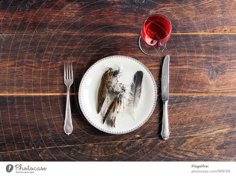 Died for a brief moment of pleasure. 1 Animal Lie Bird Throstle Wine Red wine Wine glass Cutlery Wooden table Texture of wood Noble Restaurant Food photograph