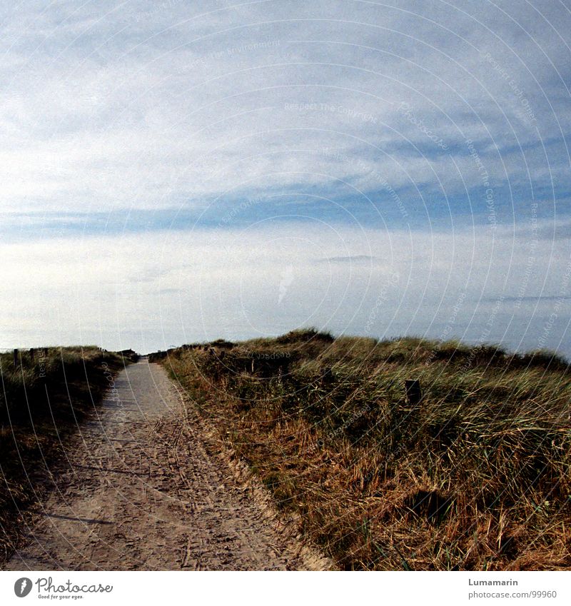 middle of the way Coast Grass Clouds Stand Long Far-off places Infinity Horizon Stagnating Break Calm Beautiful Restorative To go for a walk Going Slowly Come