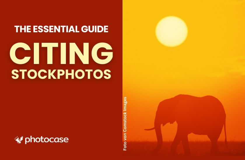 The Essential Guide to Citing Stock Photos